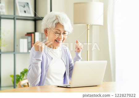 Senior woman at a computer delighted Senior woman at a computer delighted 122827022