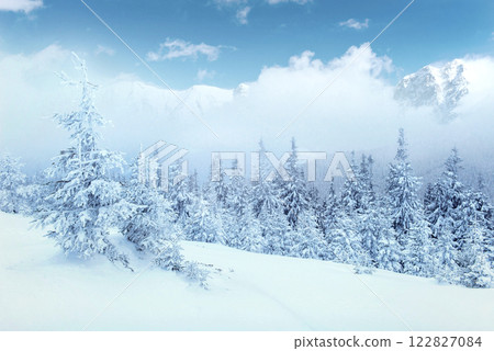 Mysterious winter landscape majestic mountains in the winter. Nice thick fog. Magical winter snow covered tree. Photo cards. light effect bokeh, soft filter. Carpathian. Ukraine. 122827084