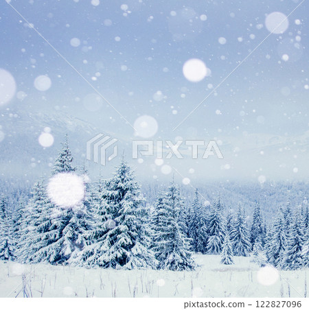 Winter tree in snow. Carpathian, Ukraine, Europe. Bokeh light effect, soft filter. Winter tree in snow. Carpathian, Ukraine, Europe. Bokeh light effect, soft filter. 122827096