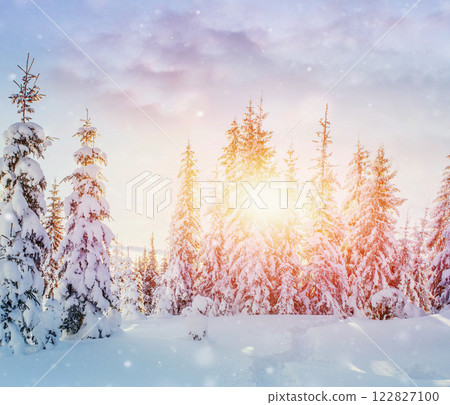 Mysterious winter landscape majestic mountains in winter. Magical winter snow covered tree. Photo greeting card. Bokeh light effect, soft filter. Carpathian. Ukraine. 122827100