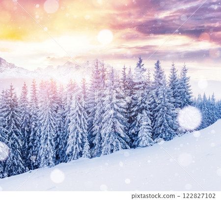 Mysterious winter landscape majestic mountains in winter. Magical winter snow covered tree. Photo greeting card. Bokeh light effect, soft filter. Carpathian. Ukraine. 122827102
