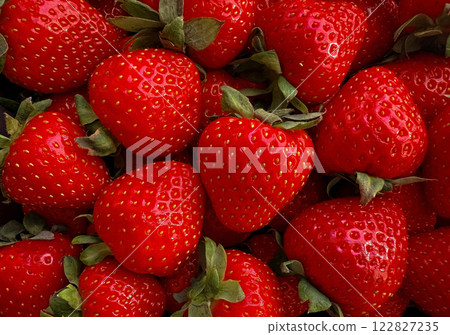 A close up of a bunch of red strawberries A close up of a bunch of red strawberries 122827235