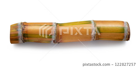 piece of sugar cane piece of sugar cane 122827257