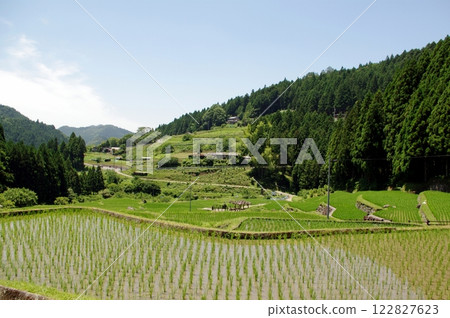 四谷千枚田：春天的梯田 122827623