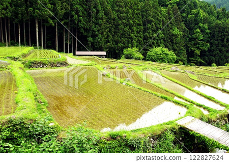 四谷千紙 122827624