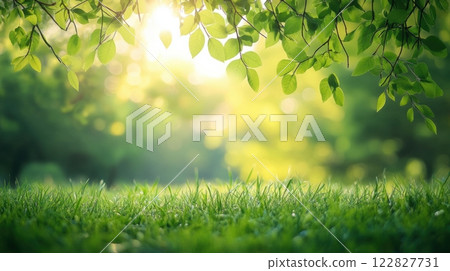 green grass in the morning 122827731