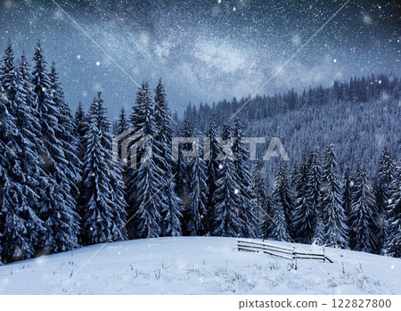 Dairy Star Trek in the winter woods. Mysterious winter landscape majestic mountains in winter Dairy Star Trek in the winter woods. Mysterious winter landscape majestic mountains in winter 122827800