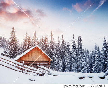 Cozy wooden hut high in the snowy mountains. Great pine trees on the background. Abandoned kolyba shepherd. Cloudy day. Carpathian mountains, it is snowing. Ukraine, Europe Cozy wooden hut high in the snowy mountains. Great pine trees on the background. Abandoned kolyba shepherd. Cloudy day. Carpathian mountains, it is snowing. Ukraine, Europe 122827801