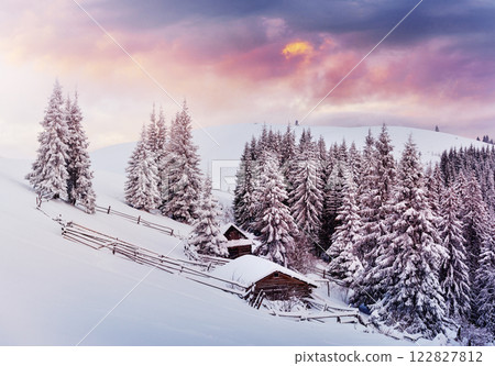 Cozy wooden hut high in the snowy mountains. Great pine trees on the background. Abandoned kolyba shepherd. Cloudy day. Carpathian mountains, it is snowing. Ukraine, Europe Cozy wooden hut high in the snowy mountains. Great pine trees on the background. Abandoned kolyba shepherd. Cloudy day. Carpathian mountains, it is snowing. Ukraine, Europe 122827812