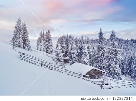 Cozy wooden hut high in the snowy mountains. Great pine trees on the background. Abandoned kolyba shepherd. Cloudy day. Carpathian mountains, it is snowing. Ukraine, Europe Cozy wooden hut high in the snowy mountains. Great pine trees on the background. Abandoned kolyba shepherd. Cloudy day. Carpathian mountains, it is snowing. Ukraine, Europe 122827814