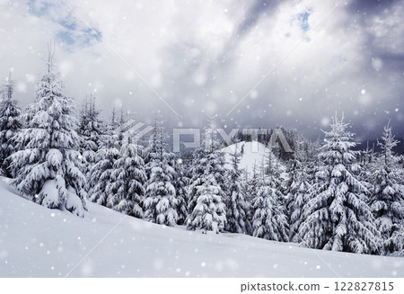 winter landscape trees and fence in hoarfrost, background with some soft highlights and snow flakes. Carpathian mountains, it is snowing. Ukraine, Europe winter landscape trees and fence in hoarfrost, background with some soft highlights and snow flakes. Carpathian mountains, it is snowing. Ukraine, Europe 122827815