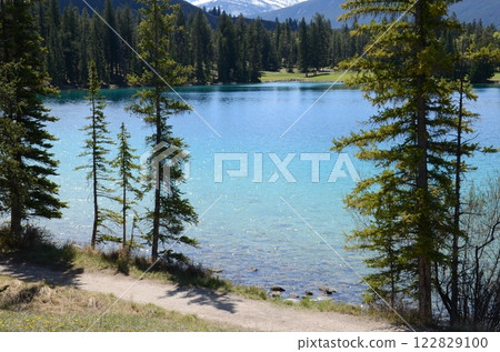 Trail along a lake in summer 122829100