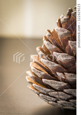 Decorative pine cone 122829223