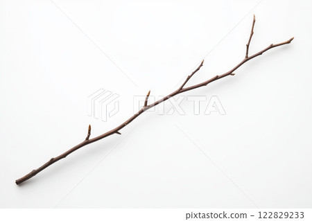 Bare Branch, Isolated Object 122829233