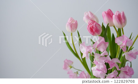 Pink tulips and sweet peas and white background Pink tulips and sweet peas and white background 122829708