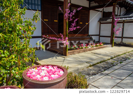 The main entrance of Reikanji Temple in Kyoto in spring 122829714
