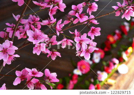 靈觀寺入口處,山茶花盛開 靈觀寺入口處,山茶花盛開 122829715