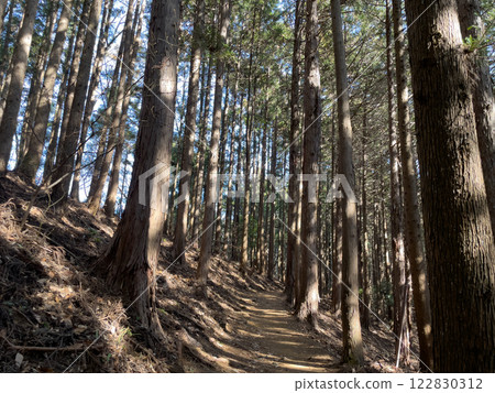 Mount Jimba hiking trail - Ichinoo Ridge Course 122830312