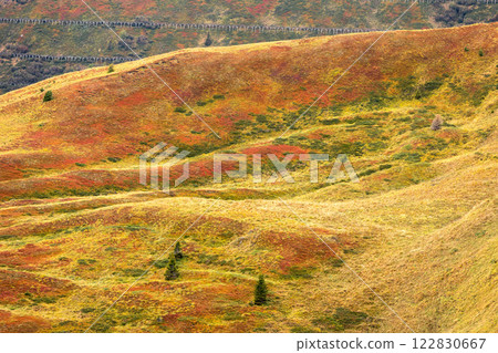 Autumn hills of Sella pass, Dolomites, Italy 122830667
