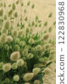 Be comforted by Lagrass 122830968