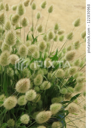Be comforted by Lagrass 122830968