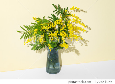 Bouquet of  mimosa or acacia in a vase on a yellow and white background with sunlight. 122831066