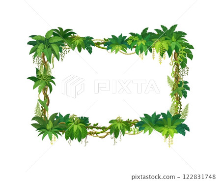 Liana frame of jungle forest and tropical green leaves of ivy plant, cartoon vector background. Rainforest liana branches for photo frame with ivy vine or tropical jungle tree and monstera leaves 122831748