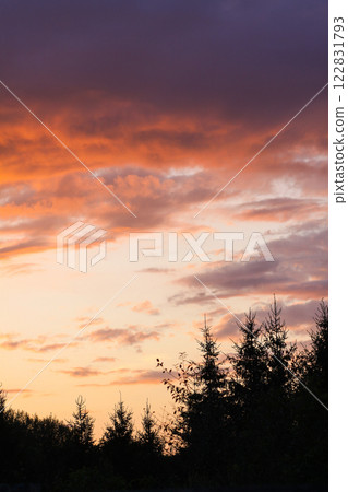 Sunset in the countryside at summer. Wild nature details. 122831793