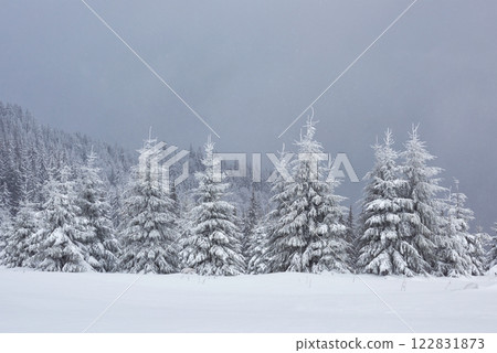 Great winter photo in Carpathian mountains with snow covered fir trees. Colorful outdoor scene, Happy New Year celebration concept. Artistic style post processed photo Great winter photo in Carpathian mountains with snow covered fir trees. Colorful outdoor scene, Happy New Year celebration concept. Artistic style post processed photo 122831873