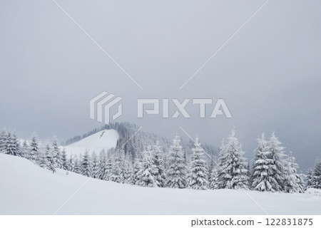 Great winter photo in Carpathian mountains with snow covered fir trees. Colorful outdoor scene, Happy New Year celebration concept. Artistic style post processed photo Great winter photo in Carpathian mountains with snow covered fir trees. Colorful outdoor scene, Happy New Year celebration concept. Artistic style post processed photo 122831875