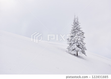 Fantastic winter landscape with one snow tree. Carpathians, Ukraine, Europe Fantastic winter landscape with one snow tree. Carpathians, Ukraine, Europe 122831885