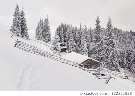 Cozy wooden hut high in the snowy mountains. Great pine trees on the background. Abandoned kolyba shepherd. Cloudy day. Carpathian mountains, Ukraine, Europe 122831888