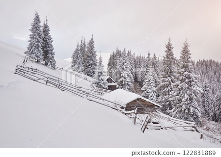 Cozy wooden hut high in the snowy mountains. Great pine trees on the background. Abandoned kolyba shepherd. Cloudy day. Carpathian mountains, Ukraine, Europe 122831889