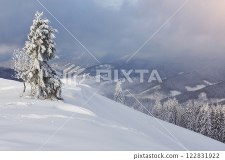 Great winter photo in Carpathian mountains with snow covered fir trees. Colorful outdoor scene, Happy New Year celebration concept. Artistic style post processed photo Great winter photo in Carpathian mountains with snow covered fir trees. Colorful outdoor scene, Happy New Year celebration concept. Artistic style post processed photo 122831922