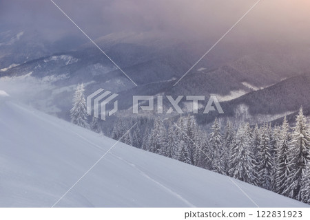 Great winter photo in Carpathian mountains with snow covered fir trees. Colorful outdoor scene, Happy New Year celebration concept. Artistic style post processed photo 122831923