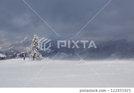 Great winter photo in Carpathian mountains with snow covered fir trees. Colorful outdoor scene, Happy New Year celebration concept. Artistic style post processed photo 122831925