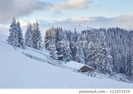 Fantastic winter landscape, the steps that lead to the cabin. Magic event in frosty day. In anticipation of the holiday. Dramatic scenes. Carpathian, Ukraine, Europe 122831939