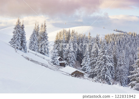 Majestic white spruces glowing by sunlight. Picturesque and gorgeous wintry scene. Location place Carpathian national park, Ukraine, Europe. Alps ski resort. Blue toning. Happy New Year Beauty world Majestic white spruces glowing by sunlight. Picturesque and gorgeous wintry scene. Location place Carpathian national park, Ukraine, Europe. Alps ski resort. Blue toning. Happy New Year Beauty world 122831942