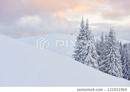 Great winter photo in Carpathian mountains with snow covered fir trees. Colorful outdoor scene, Happy New Year celebration concept. Artistic style post processed photo 122831969