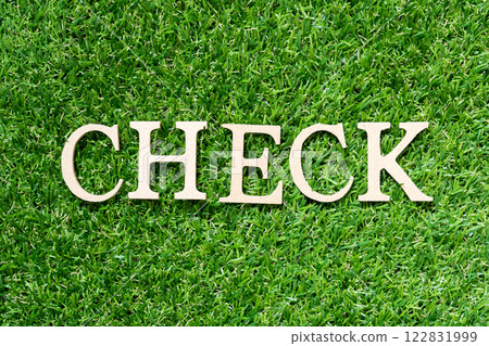 Wood alphabet letter in word check on artificial green grass background 122831999