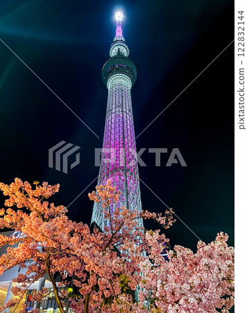 "Tokyo" Illuminated Tokyo Skytree and Kawazu cherry blossoms - City night view 122832144