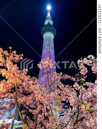 "Tokyo" Illuminated Tokyo Skytree and Kawazu cherry blossoms - City night view 122832145