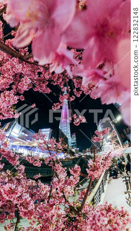 「東京」 燈光璀璨的東京晴空塔與河津櫻花,城市夜景 「東京」 燈光璀璨的東京晴空塔與河津櫻花,城市夜景 122832148