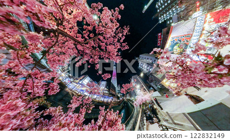 「東京」 燈光璀璨的東京晴空塔與河津櫻花,城市夜景 「東京」 燈光璀璨的東京晴空塔與河津櫻花,城市夜景 122832149