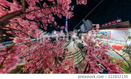 「東京」 燈光璀璨的東京晴空塔與河津櫻花，城市夜景 122832150