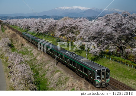 A train passing through a spectacular row of cherry blossom trees A train passing through a spectacular row of cherry blossom trees 122832818