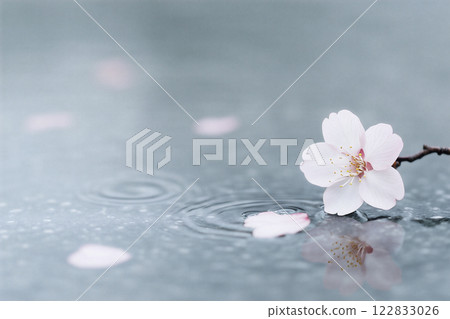 A pink flower is floating on the wate 122833026