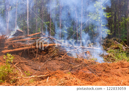 Smoke fills dense forest as vegetation is cleared for ecological fallen trees smolde devastation of fire 122833059