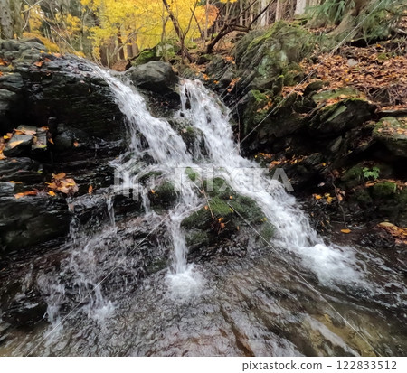 Autumn mountain stream 122833512