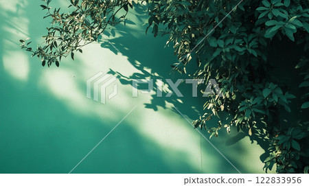 Green leafy plant casts a shadow on a wall. The shadow is long and dark, creating a sense of depth and dimension. The image evokes a feeling of tranquility and calmness 122833956